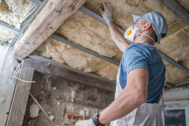 Best Insulation Materials and Products in Thermalito, CA